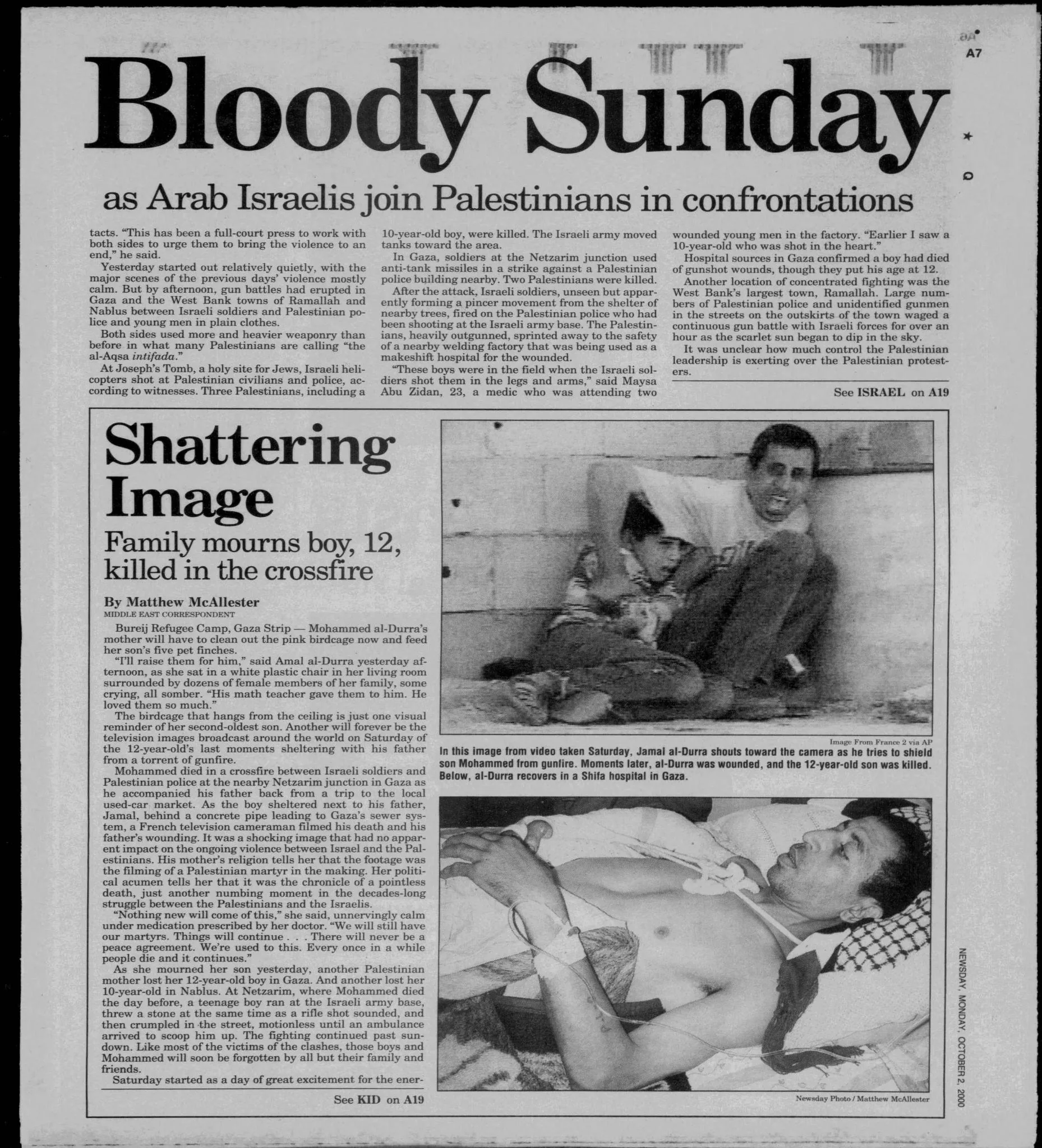 Shattering Image &mdash; Newsday