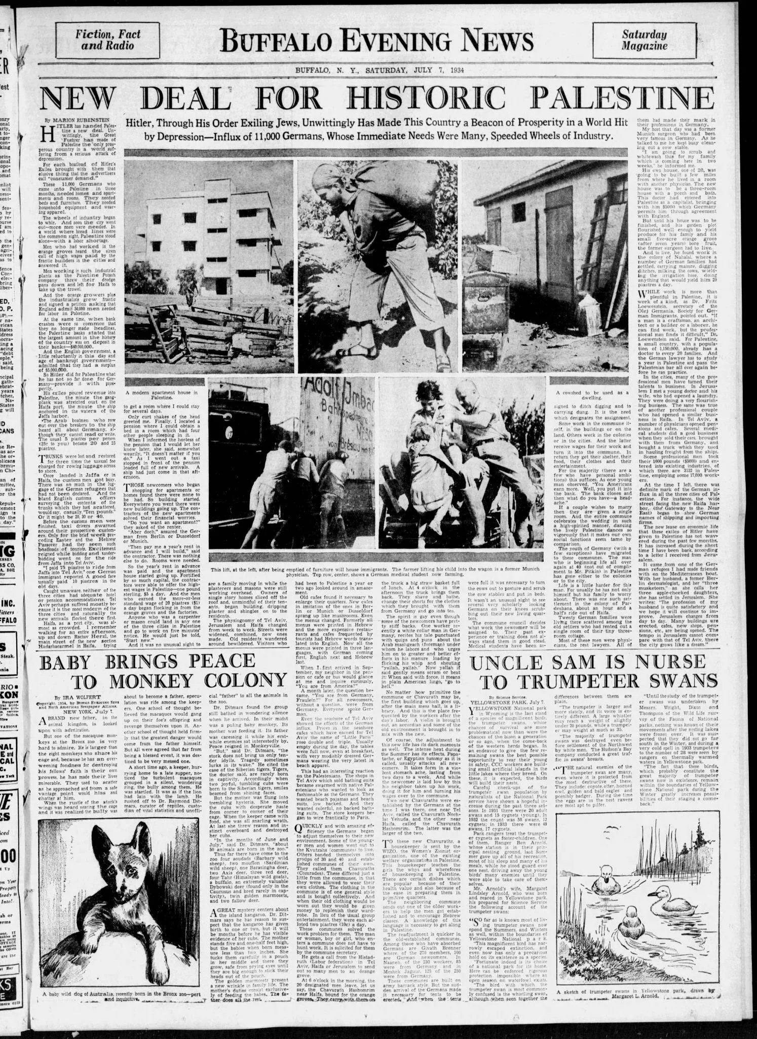 New Deal for Historic Palestine — Buffalo Evening News, 7 July 1934
