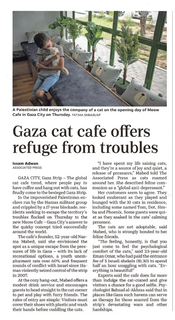 Gaza cat cafe offers refuge from troubles &mdash; The Daily News, 20 August 2023
