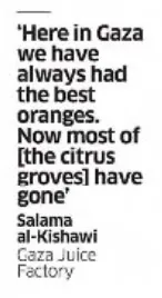 'Here in Gaza we have always had the best oranges. Now most of [the citrus groves] have gone' — The Independent, 26 June 2010