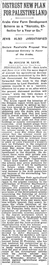 Distrust New Plan for Palestine Land &mdash; The New York Times, 26 July 1931