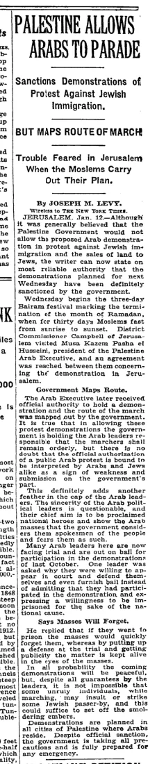 Palestine Allows Arabs to Parade &mdash; The New York Times, 14 January 1934