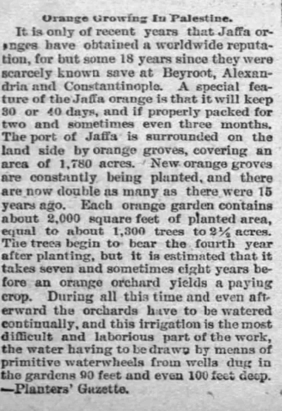 Orange Growing in Palestine — Akron Beacon Journal, 13 December 1893