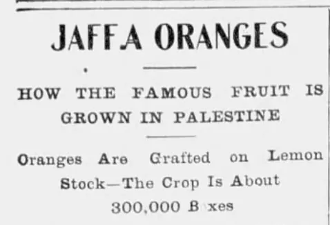 Jaffa Oranges — The Perris Progress, 1 June 1901