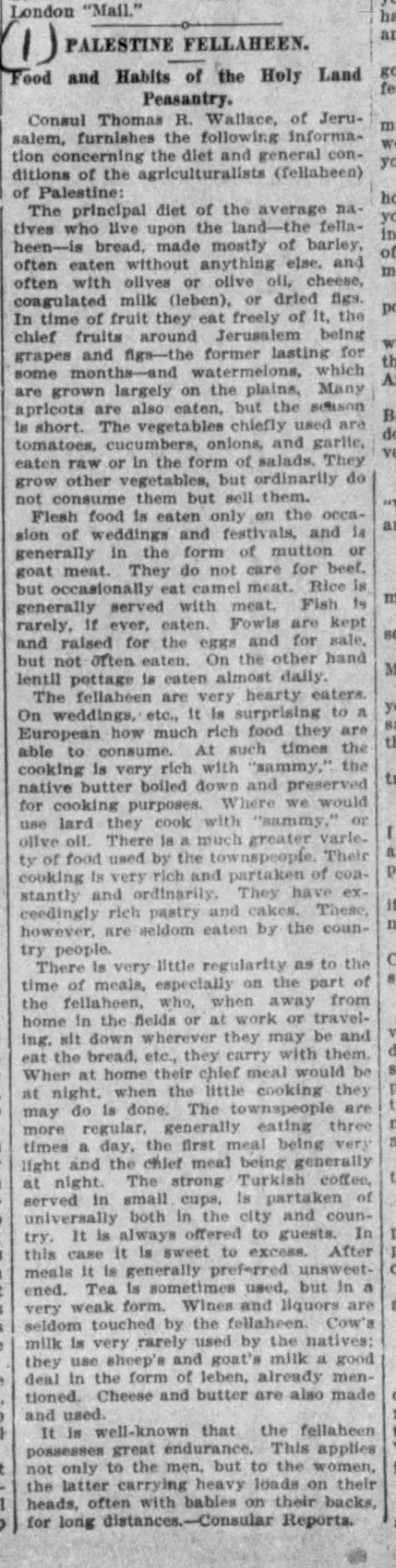 Palestine Fellaheen — Rochester Journal and the Post Express, 31 October 1908