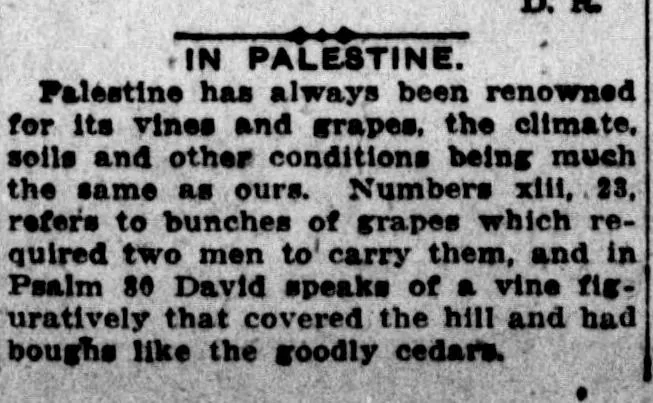 IN PALESTINE. &mdash; Evening Capital News, 23 November 1917
